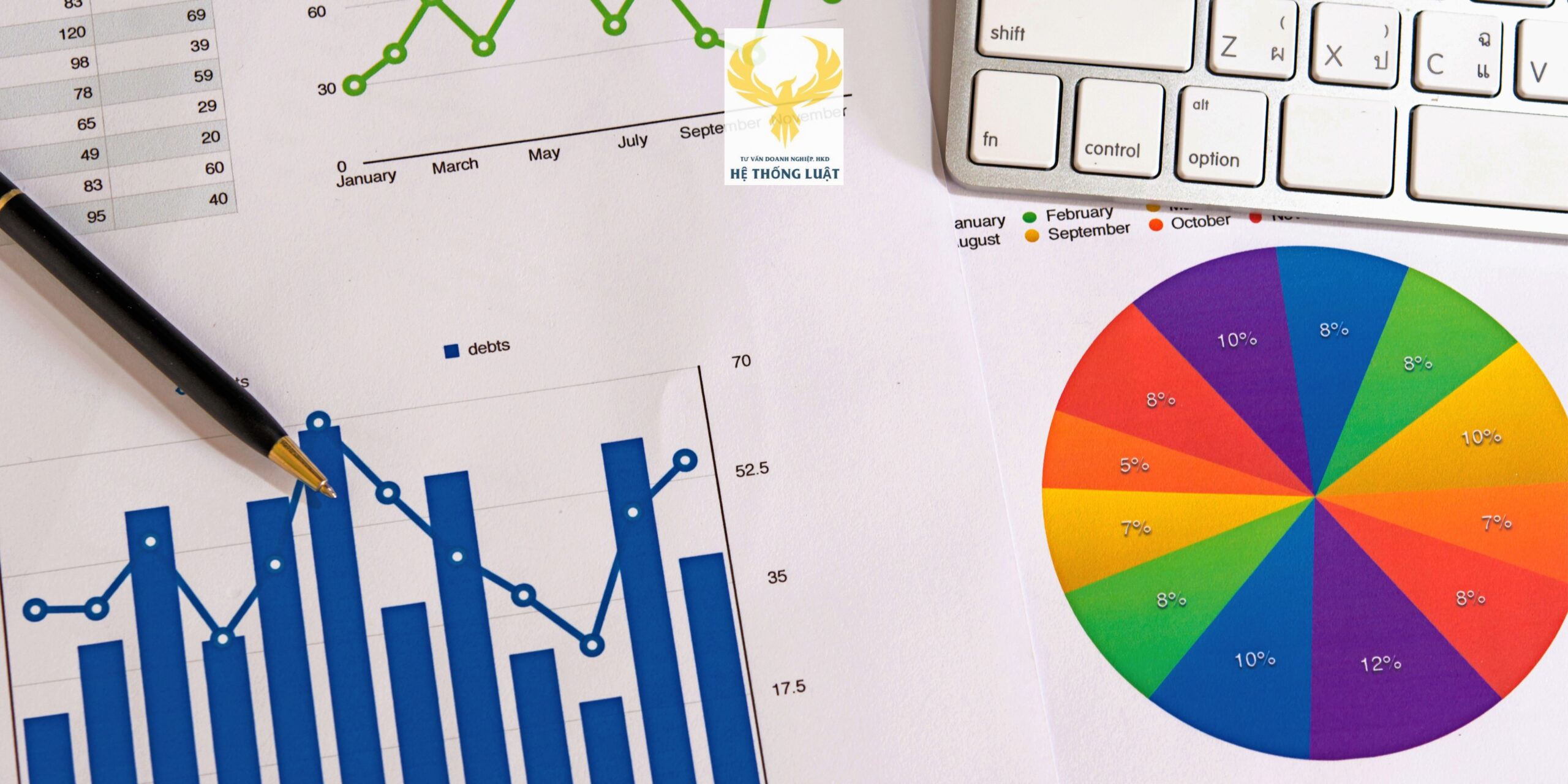 Chuyên gia tư vấn giải thể công ty trách nhiệm hữu hạn một thành viên uy tín ở Tùng Bá, Vị Xuyên, Hà Giang - Ảnh 2